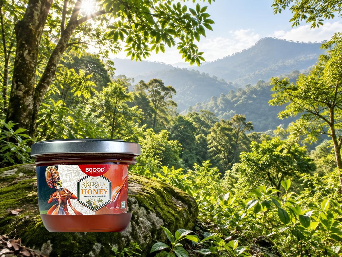 Kerala Honey | 500g jar on a mossy rock in a misty Western Ghats forest